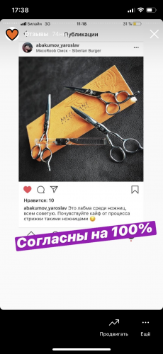 Отзыв Мизутани 7