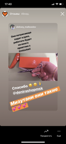 Отзыв Мизутани 22